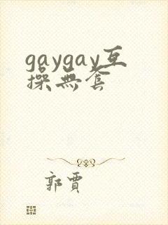 gaygay互操无套封面