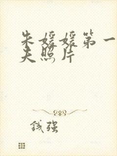 朱媛媛第一任丈夫照片