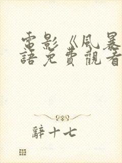 电影《风暴》国语免费观看封面