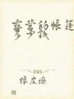 露营的帐篷大概多少钱