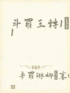 斗罗玉转1―41