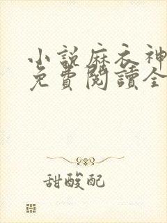 小说麻衣神算子免费阅读全文