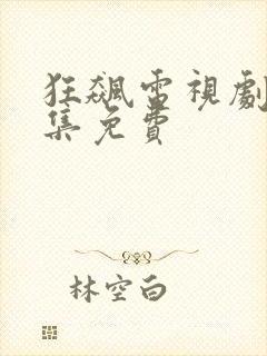 狂飙电视剧40集免费