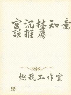 宫沉林知意的小说推荐