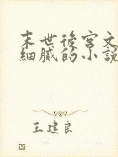 末世后宫文描写细腻的小说