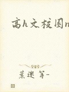 高h文校园np封面