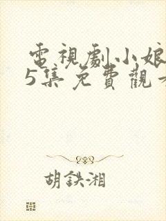电视剧小娘惹45集免费观看大结局剧情
