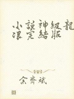 小说神级龙卫沈浪完结版封面