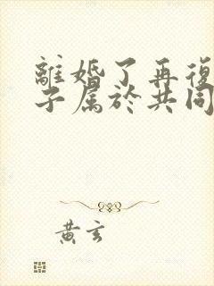 离婚了再复婚房子属于共同财产吗