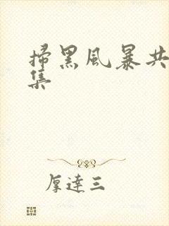 扫黑风暴共多少集
