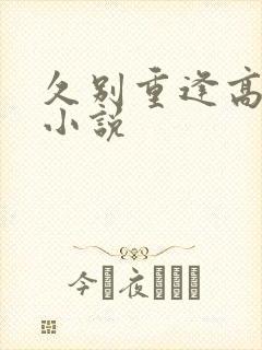 久别重逢高质量小说
