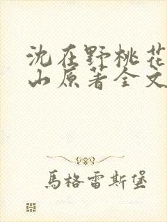 沈在野桃花映江山原著全文免费阅读大结局