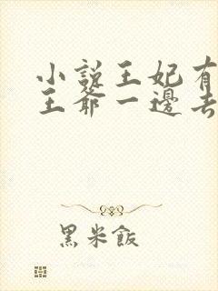 小说王妃有群,王爷一边去完整版