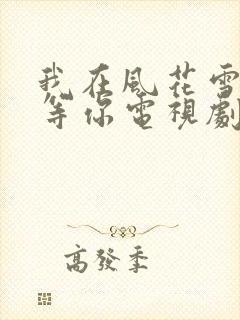 我在风花雪月里等你电视剧封面