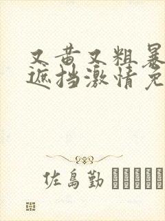 又黄又粗暴的无遮挡激情免费观看.