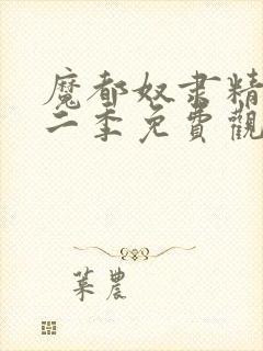 魔都奴隶精兵第二季免费观看封面