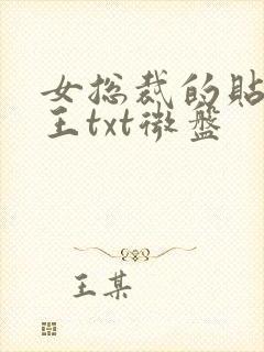 女总裁的贴身兵王txt微盘封面