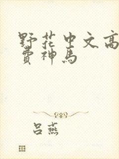 野花中文高清免费神马