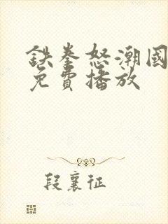 铁拳怒潮国语版免费播放
