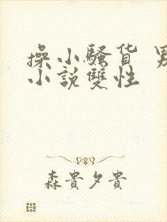 操小骚货 男男小说双性