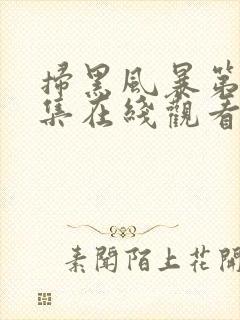 扫黑风暴第19集在线观看免费完整版