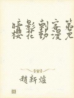 暗影刺客第四季樱花动漫免费观看