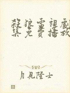 杀狼电视剧30集免费播放封面