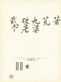 武破九荒萧叶几个老婆封面