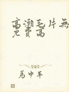 高潮毛片无遮挡免费高