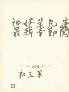 神婿叶凡唐若雪最新章节阅读