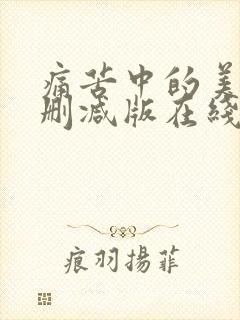 痛苦中的美丽无删减版在线观看封面