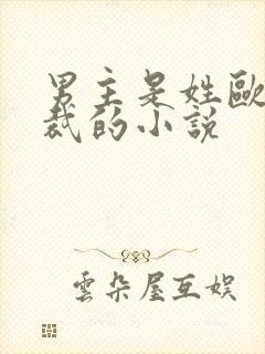 男主是姓欧的总裁的小说