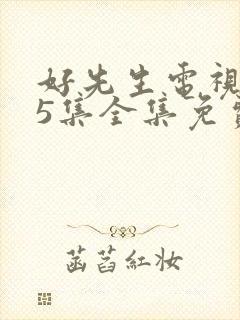 好先生电视剧45集全集免费