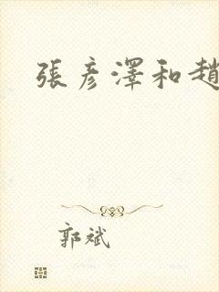 张彦泽和赵匡胤