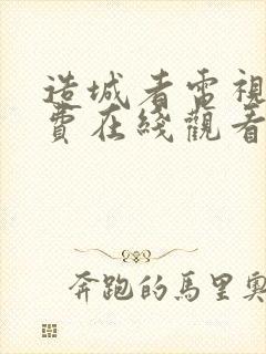 造城者电视剧免费在线观看封面