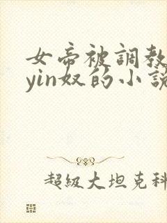 女帝被调教成为yin奴的小说