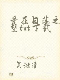 爱在日落之前完整txt下载