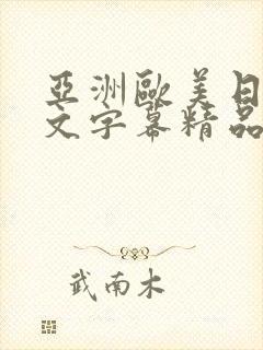 亚洲欧美日韩中文字幕精品