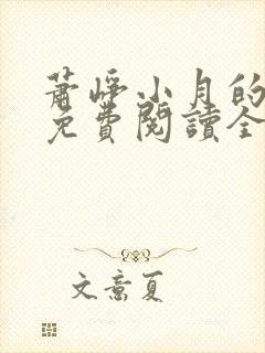 萧峥小月的小说免费阅读全文免广告封面