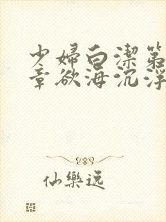 少妇白洁第十九章欲海沉浮封面