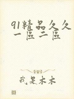 91精品久久久一区二区