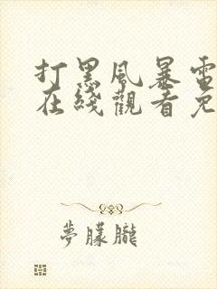 打黑风暴电视剧在线观看免费完整版