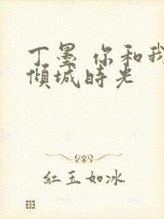 丁墨 你和我的倾城时光