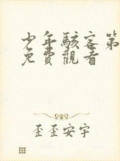 少年骇客第五季免费观看