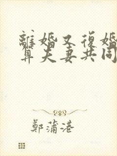 离婚又复婚财产算夫妻共同财产吗?