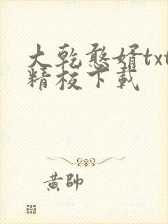 大乾憨婿txt精校下载