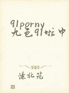 91porny九色91啦中文封面