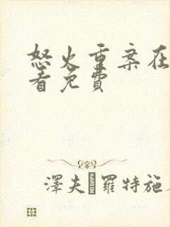 怒火重案在线观看免费