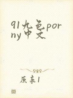 91九色porny中文