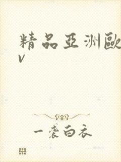 精品亚洲欧洲av封面